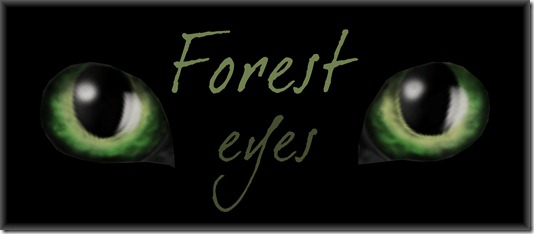 EYES Forest